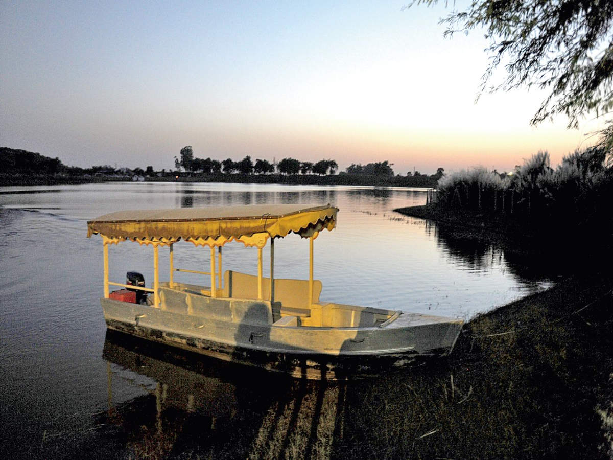 Damdama Lake